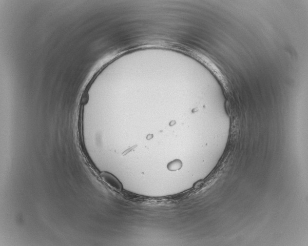 X0000115741146200912101309