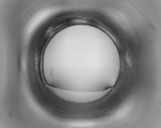 X0000115741151200912101309