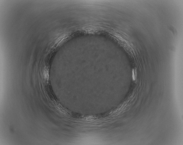 X0000115741155200912101308