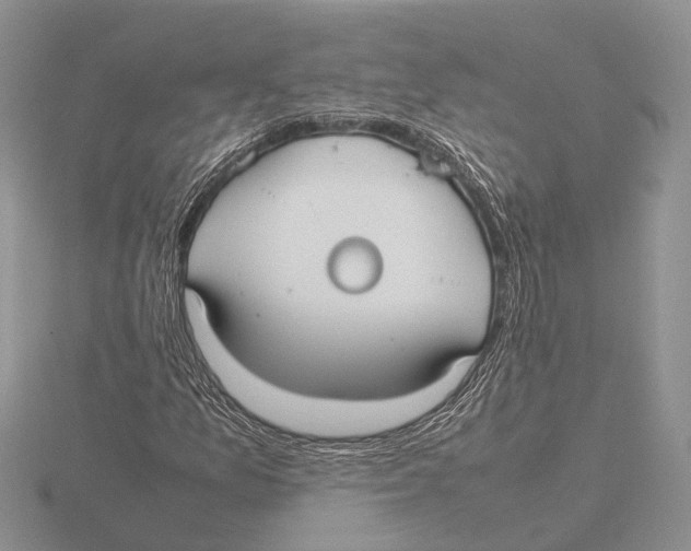 X0000115741157200912101308