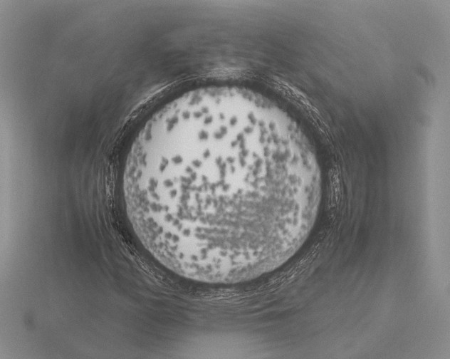 X0000115741158200912101308