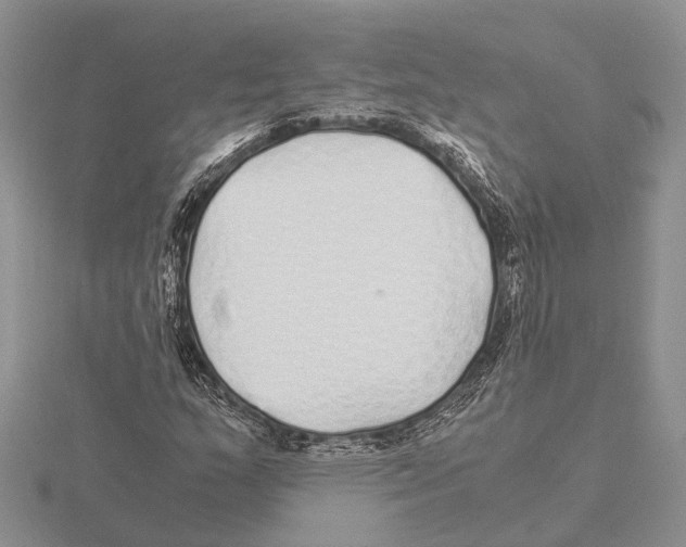 X0000115741159200912101308