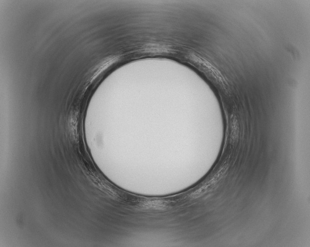 X0000115741162200912101308