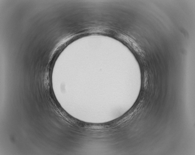 X0000115741164200912101308