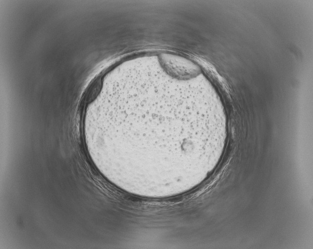 X0000115741167200912101308