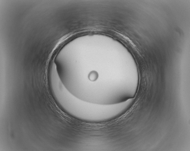 X0000115741168200912101308