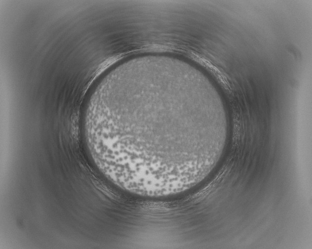 X0000115741170200912101308