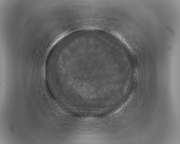 X0000115741173200912101308