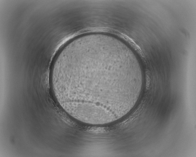 X0000115741174200912101308