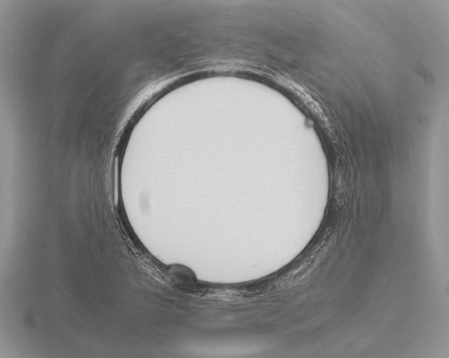 X0000115741175200912101308