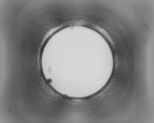 X0000115741176200912101308