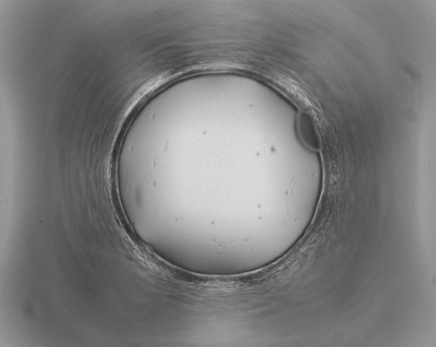 X0000115741181200912101308