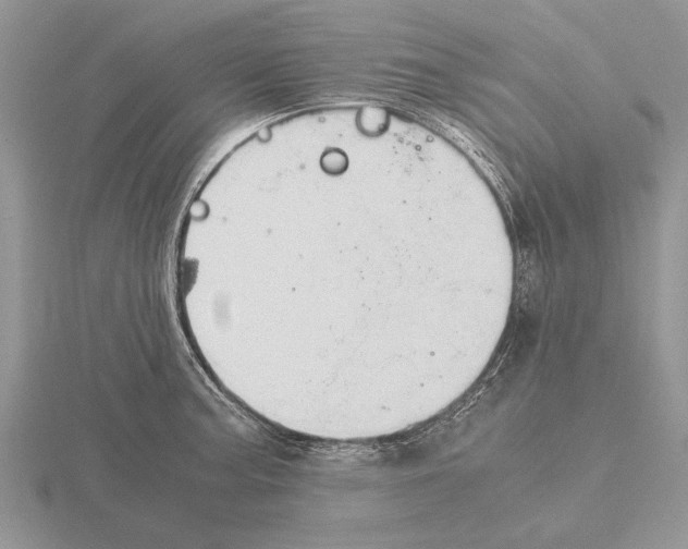 X0000115741187200912101308