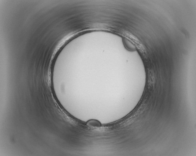 X0000115741188200912101308