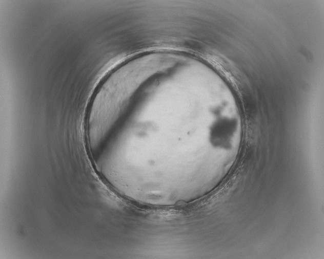 X0000115741189200912101308