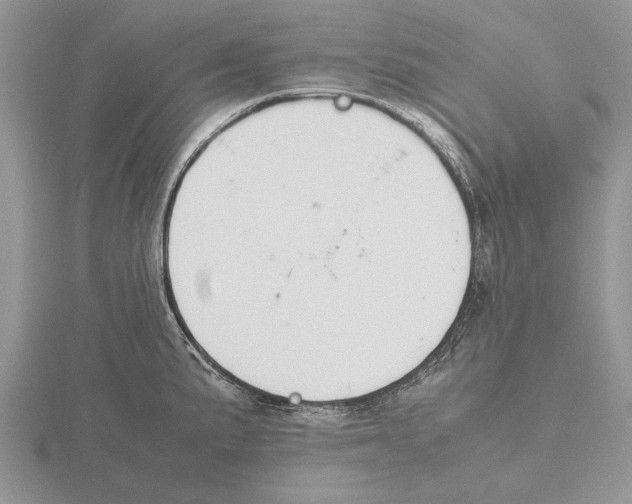 X0000115741191200912101308