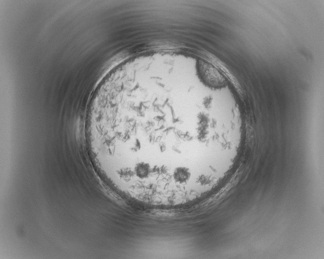 X0000115741194200912101308