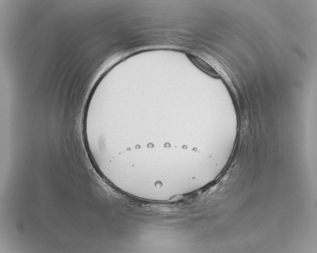 X0000115741197200912101308