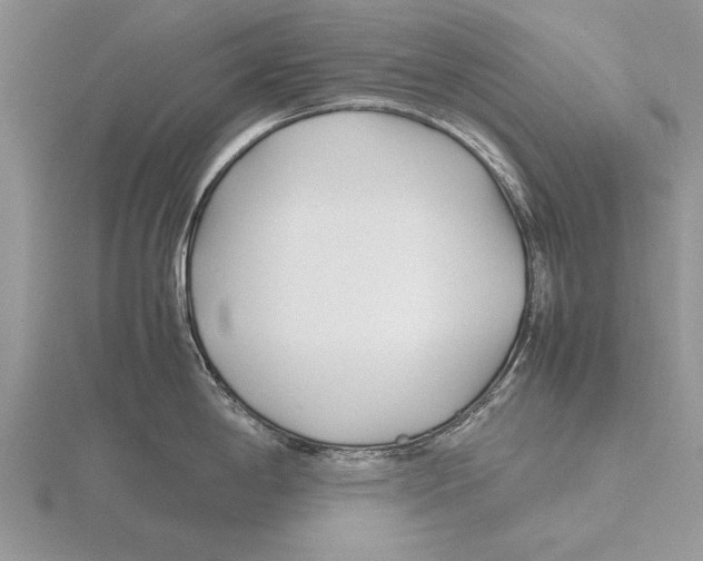 X0000115741198200912101308