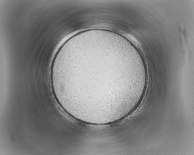 X0000115741200200912101308