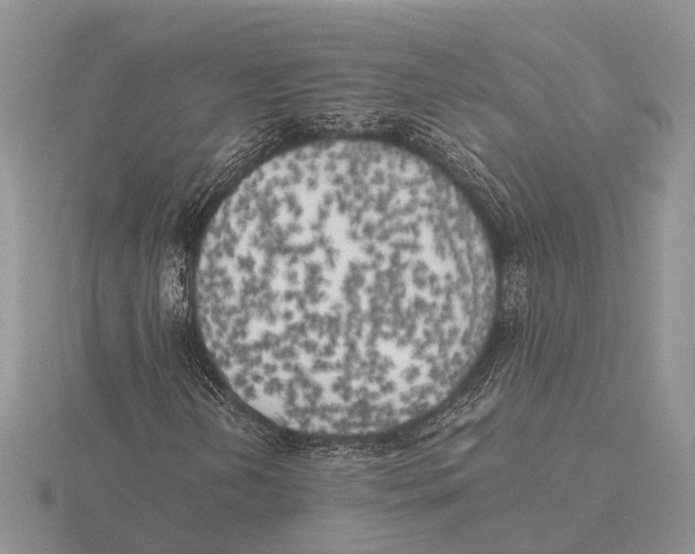 X0000115741202200912101307