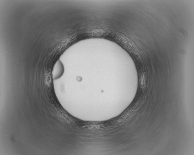 X0000115741204200912101307