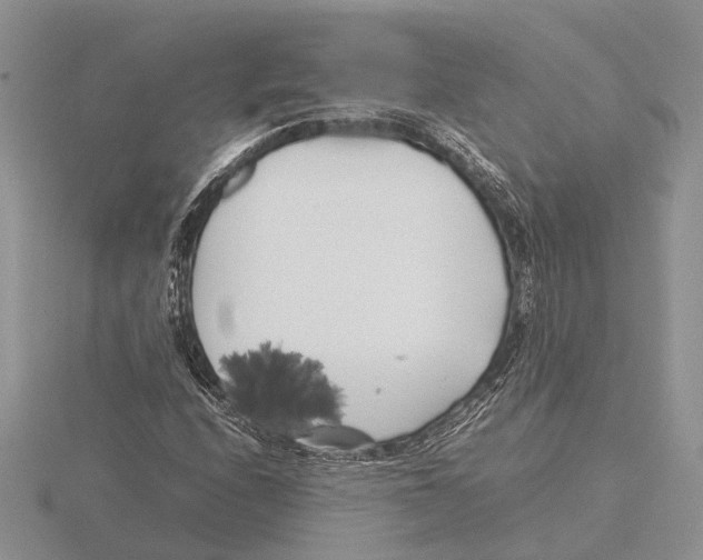 X0000115741208200912101307