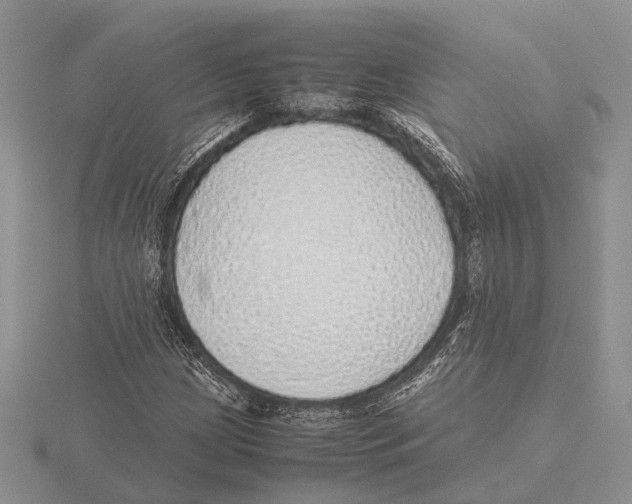 X0000115741209200912101307