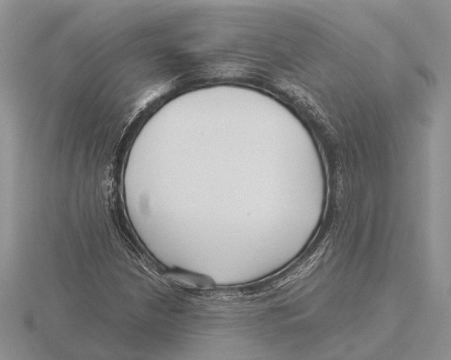 X0000115741210200912101307