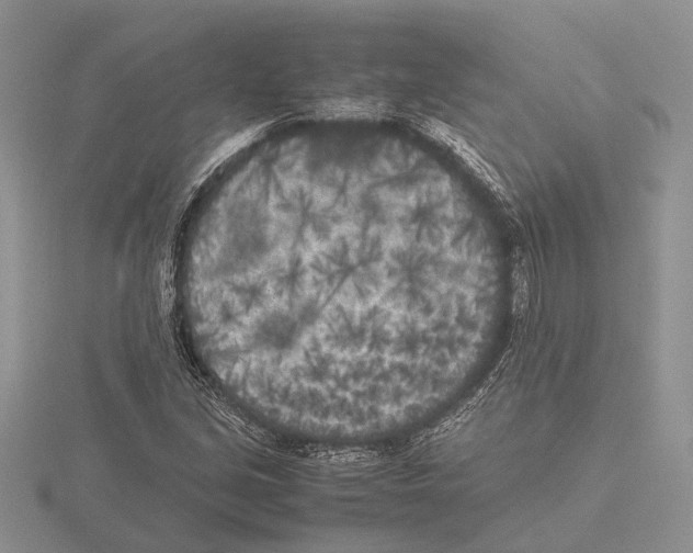 X0000115741213200912101307