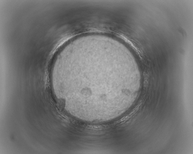 X0000115741215200912101307