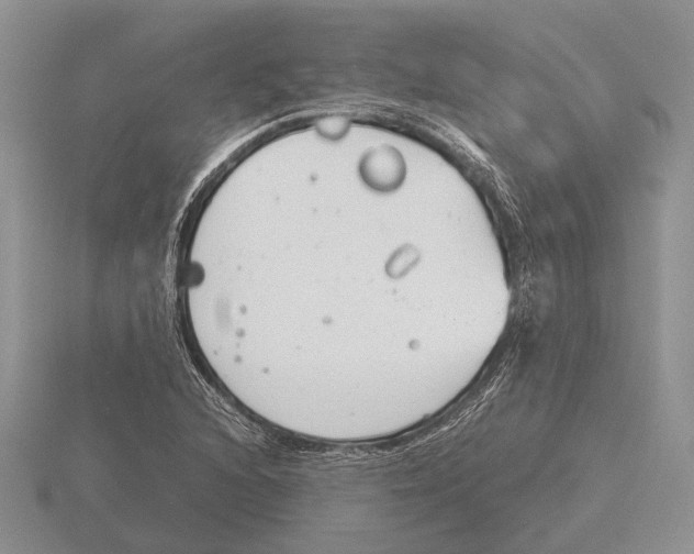 X0000115741216200912101307