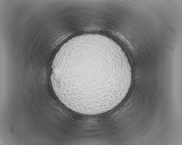 X0000115741217200912101307