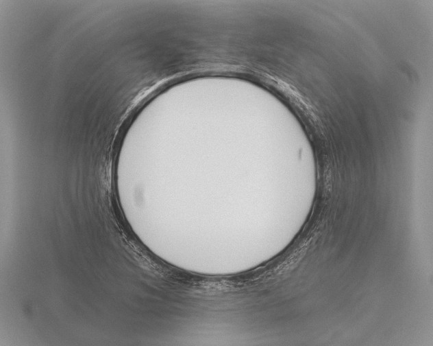 X0000115741220200912101307