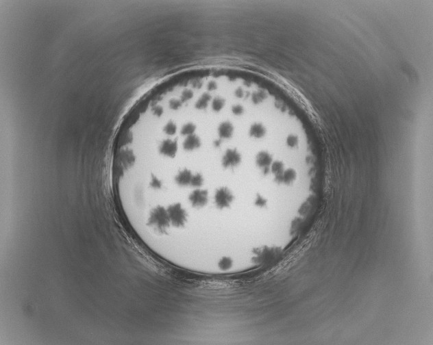 X0000115741224200912101307