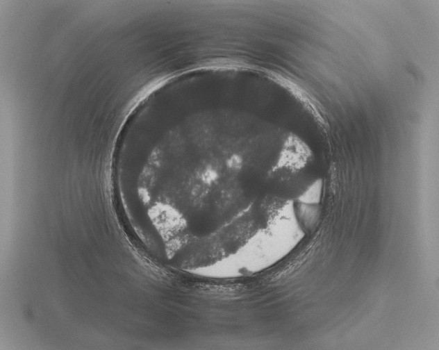 X0000115741229200912101307