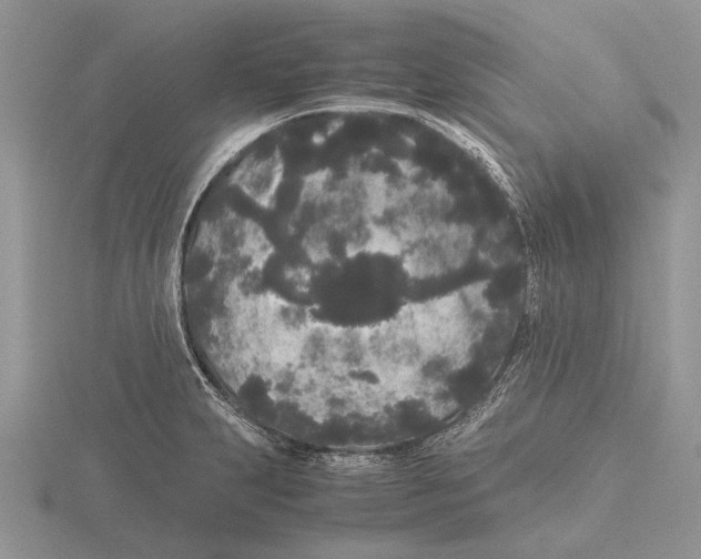 X0000115741231200912101307