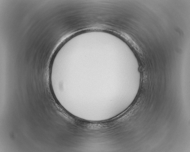 X0000115741232200912101307