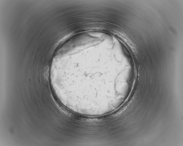 X0000115741233200912101307