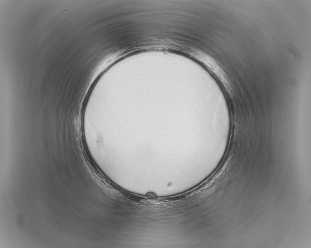 X0000115741234200912101307