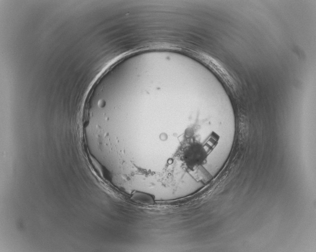 X0000115741236200912101307