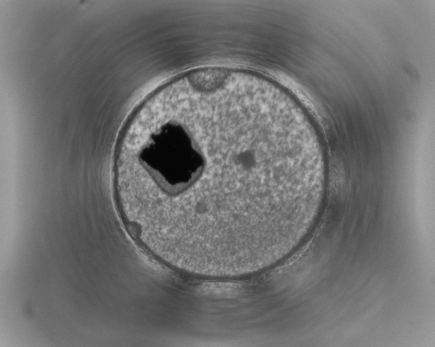 X0000115741237200912101307