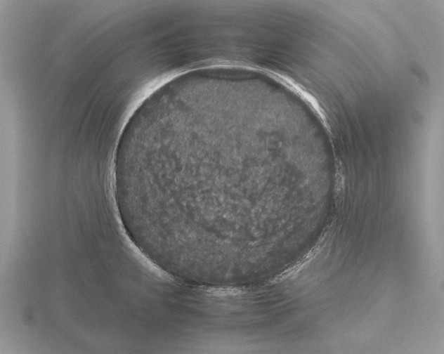 X0000115741239200912101307