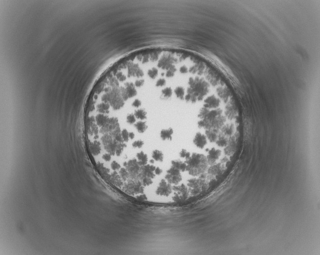 X0000115741240200912101307