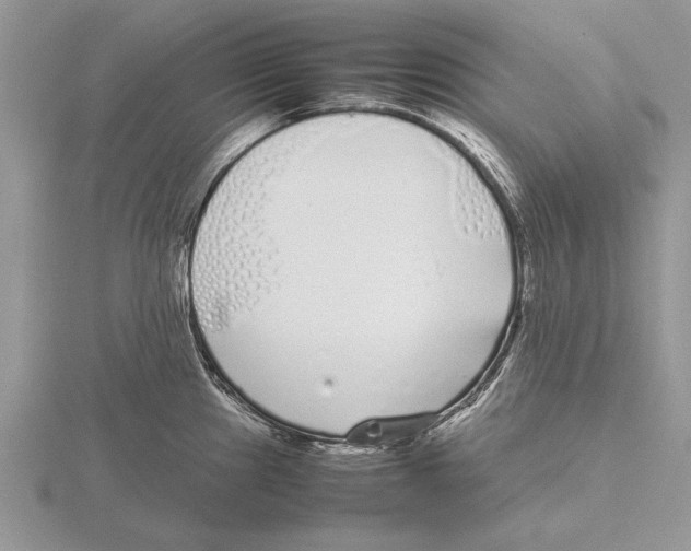 X0000115741241200912101307