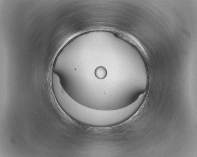 X0000115741244200912101307