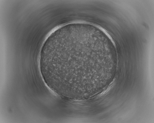 X0000115741245200912101307