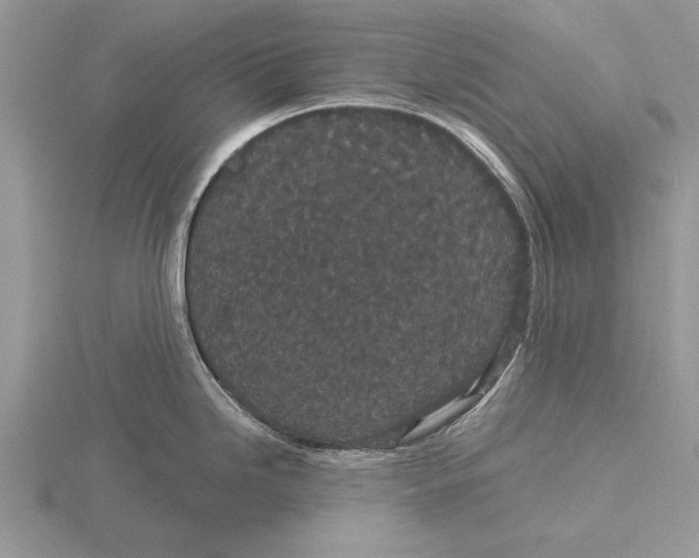 X0000115741246200912101307