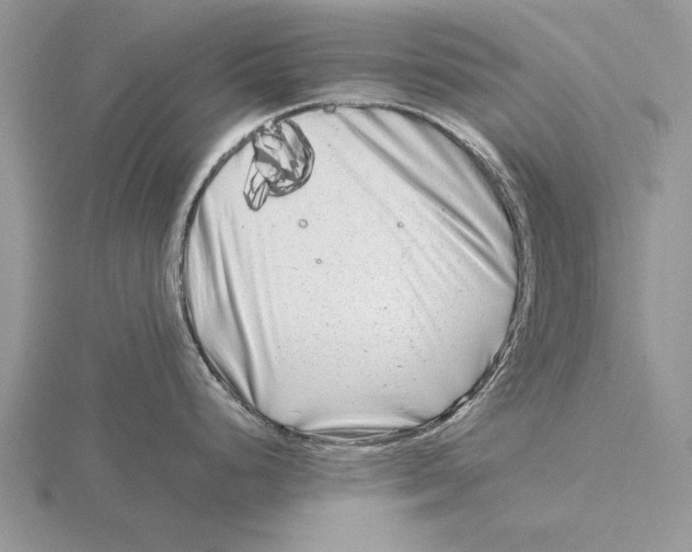 X0000115741248200912101307