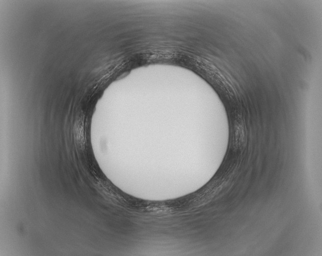 X0000115741250200912101307